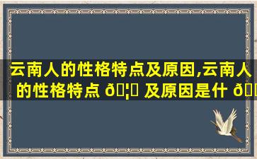 云南人的性格特点及原因,云南人的性格特点 🦊 及原因是什 🌼 么
